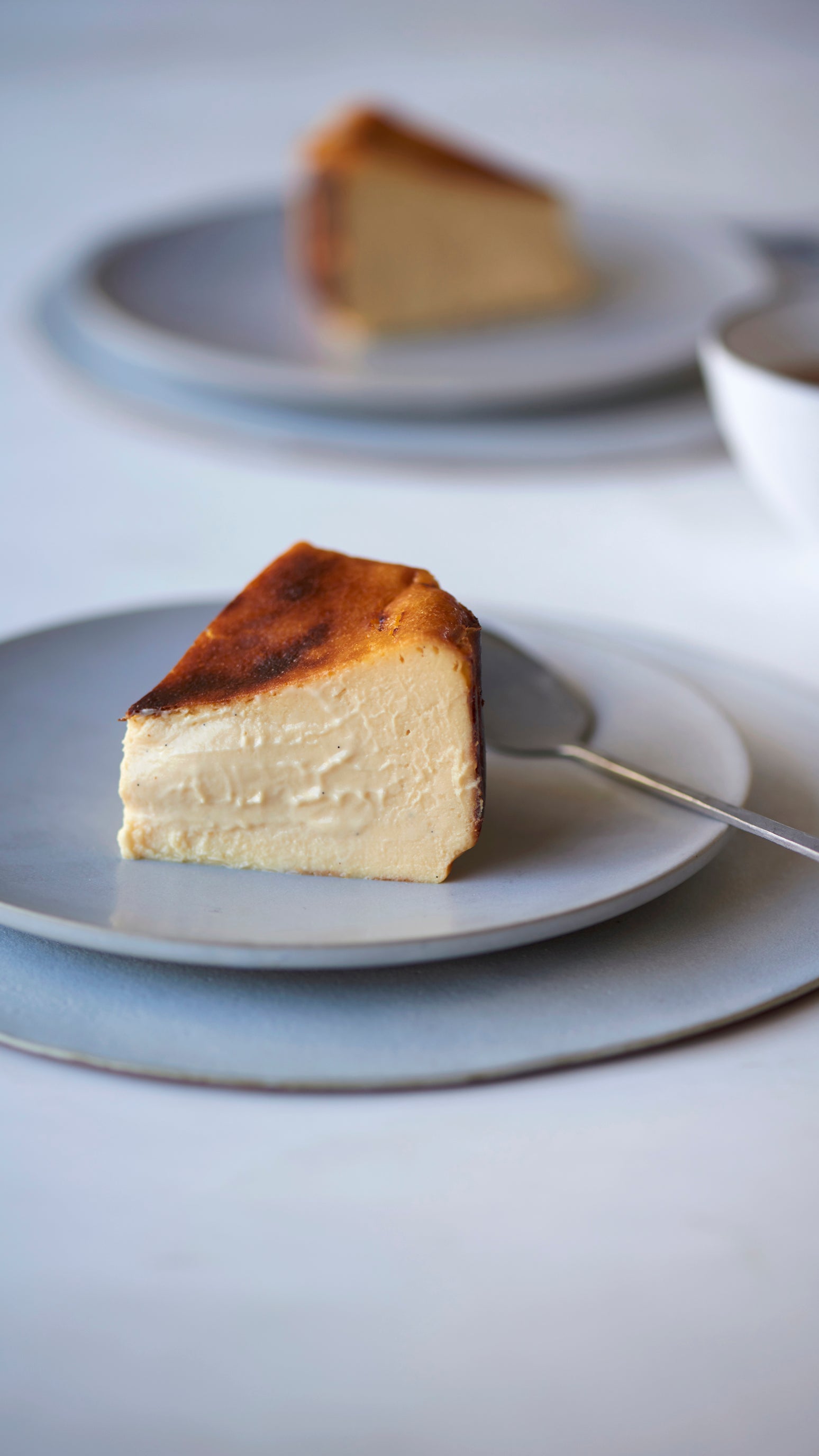 BASQUE CHEESECAKE Original & RICH TIRAMISU Original