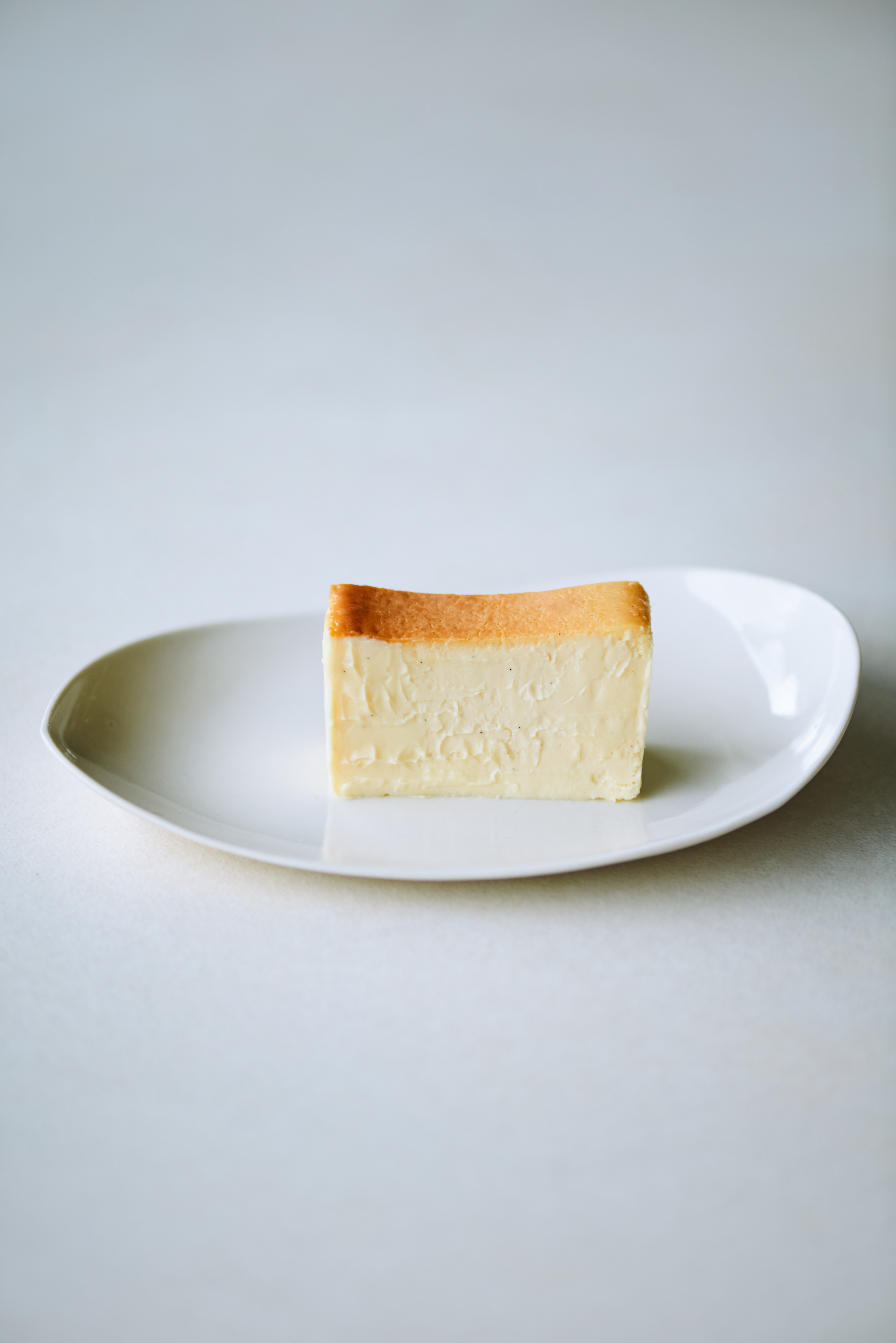 Mr. CHEESECAKE Classic / Bag
